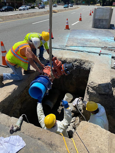 Plomero Bayshore Plumbers