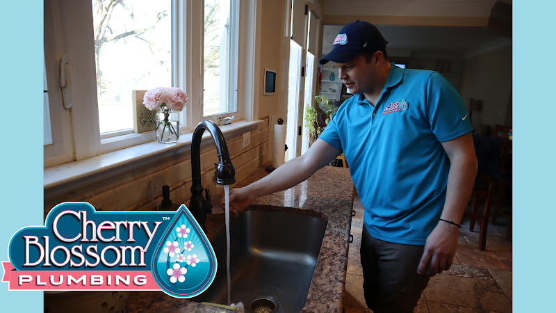 Plomero Cherry Blossom Plumbing