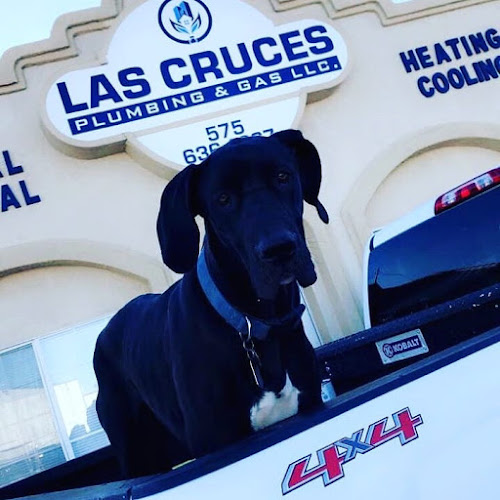 Plomero Las Cruces Plumbing & Gas Llc