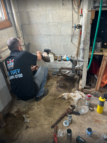 Plomero Mr. Pipey Plumbing