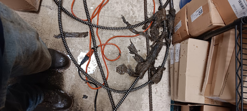 Plomero P M Drain Cleaning