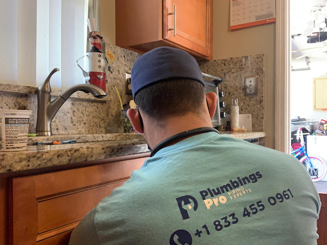 Plomero Plumbing Pro Florida