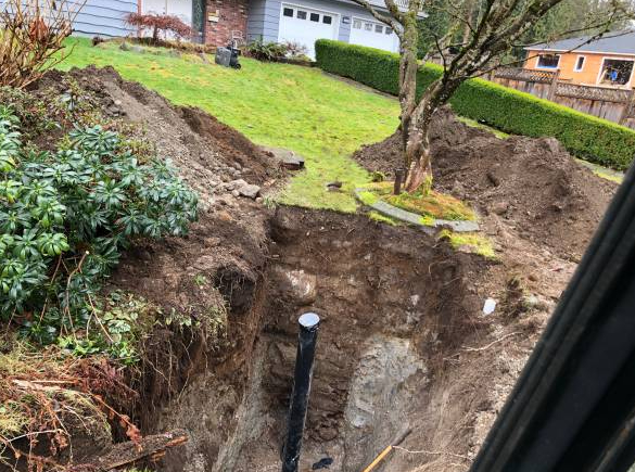 Plomero Plumbing Tampa & Drain Cleaning Pro