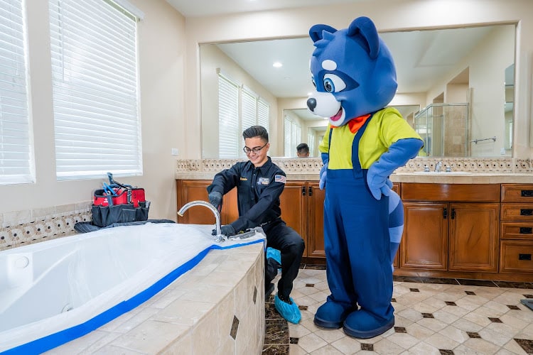 Plomero Rooter Solutions Plumbers